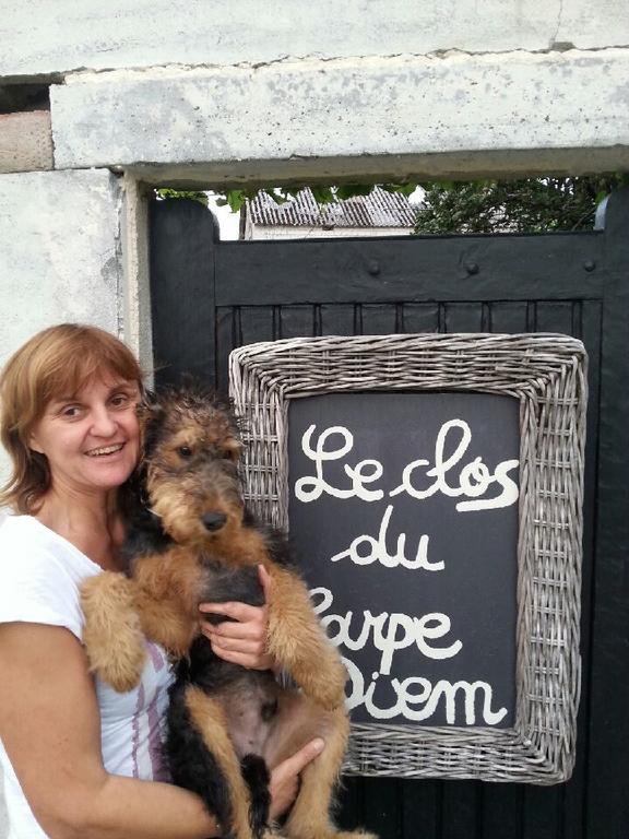 Le Clos Du Carpe Diem Cambligneul Kültér fotó